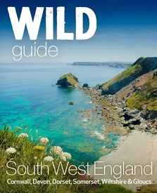 Reisgids South West | Wild Things Publishing