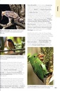 Vogelgids - Natuurgids The 125 Best Bird Watching Sites in Southeast Asia | John Beaufoy