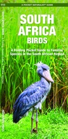 South Africa Birds, Zuid-Afrika, Namibië, Botswana, Zimbabwe