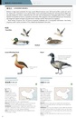 Vogelgids - Natuurgids Birds of China | Princeton University