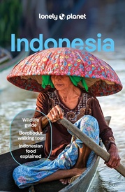 Reisgids Indonesia - Indonesië | Lonely Planet