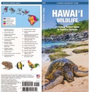 Natuurgids - Vogelgids Hawaii Wildlife | Waterford Press